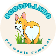 Scooplando logo